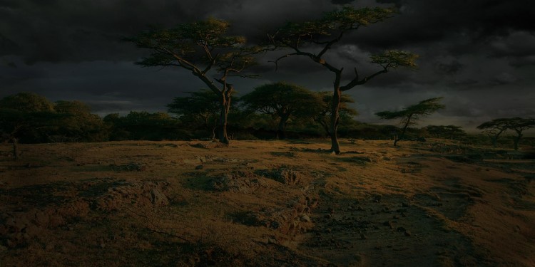 home_charity_donate_bg