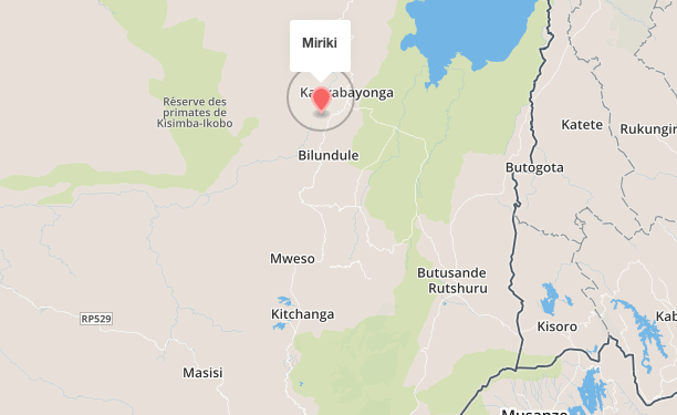 Miriki, 110 km au nord de Goma