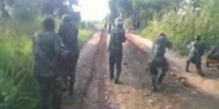 Screenshot from a video allegedly depicting a government attack on Kamuina Nsapu militia members in Mwanza Lomba, Kasai